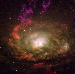Circinus Galaxie, eine Seyfert-Galaxie Typ-2, beobachtet 2000 mit HST