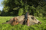 Ein Jäger präsentiert Hund, Gewehr und erlegte Sau nach erfolgreicher Jagd