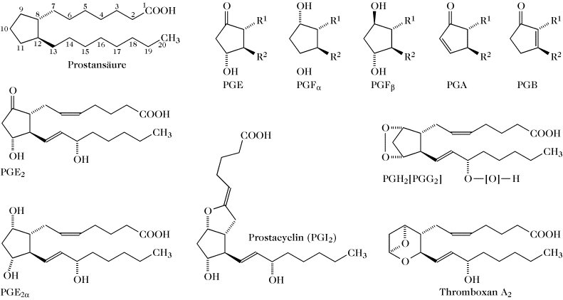 Prostaglandine Lexikon der Biochemie Spektrum der Wissenschaft