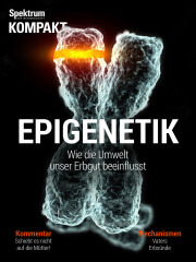 Cover Spektrum Kompakt:  Epigenetik – wie die Umwelt unser Erbgut beeinflusst
