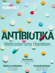 Cover Spektrum Kompakt:  Antibiotika – Wettrüsten ums Überleben