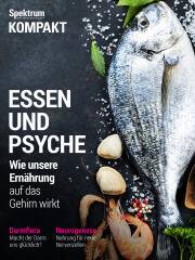 Cover Spektrum Kompakt:  Essen und Psyche – Wie unsere Ernährung auf das Gehirn wirkt