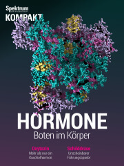 Cover Spektrum Kompakt: Hormone – Boten im Körper