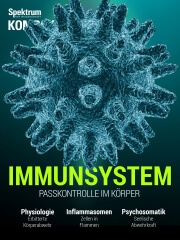 Cover Spektrum Kompakt:  Immunsystem – Passkontrolle im Körper
