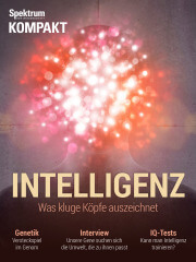 Cover Spektrum Kompakt:  Intelligenz – Was kluge Köpfe auszeichnet