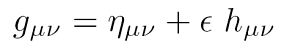 Ansatz für den metrischen Tensor in einer linearisierten Theorie der Gravitationswellen im Vakuum