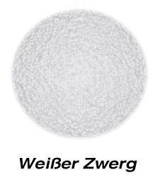 Wei&szlig;er Zwerg