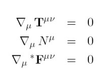 kovariante Differentialgleichungen der idealen GRMHD