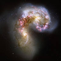 Antennengalaxien NGC4038-4039, HST 2006