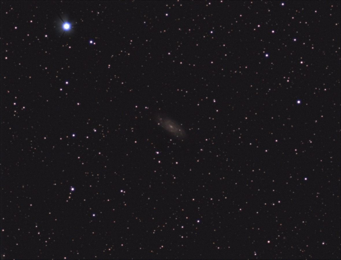 NGC6118 Spektrum der Wissenschaft