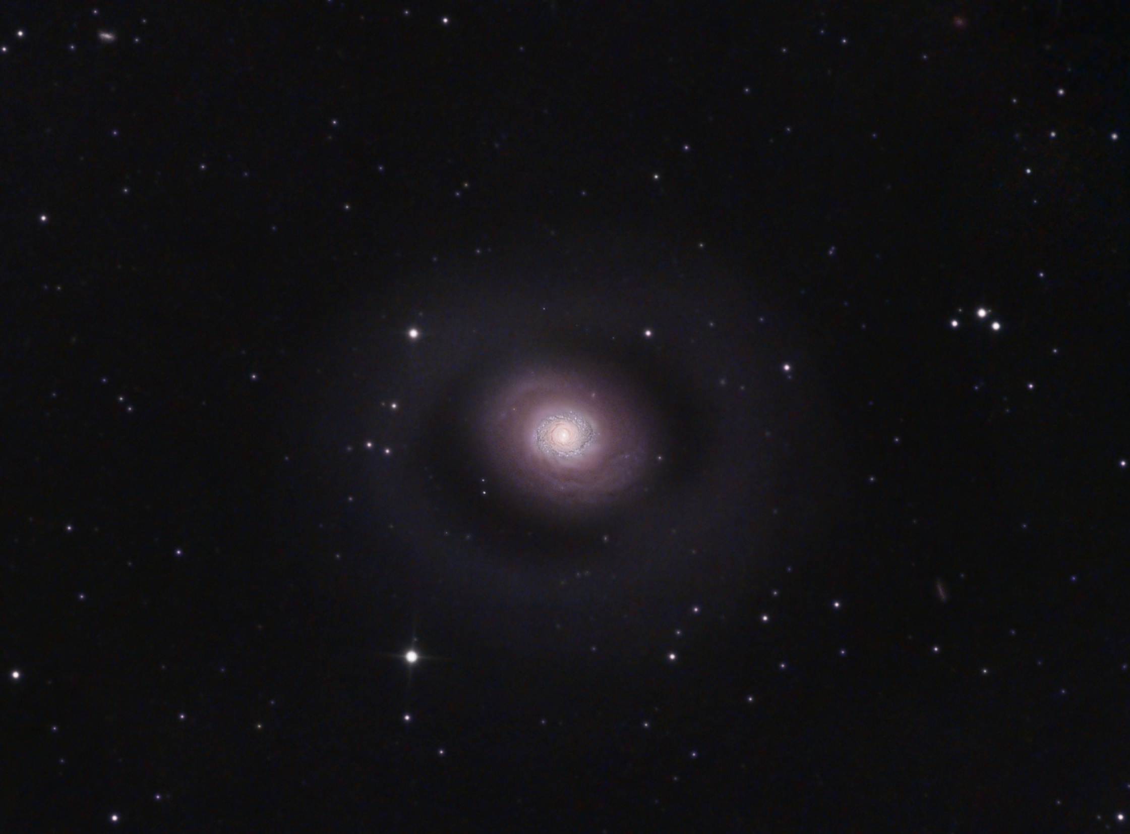 Messier 94 Spektrum der Wissenschaft