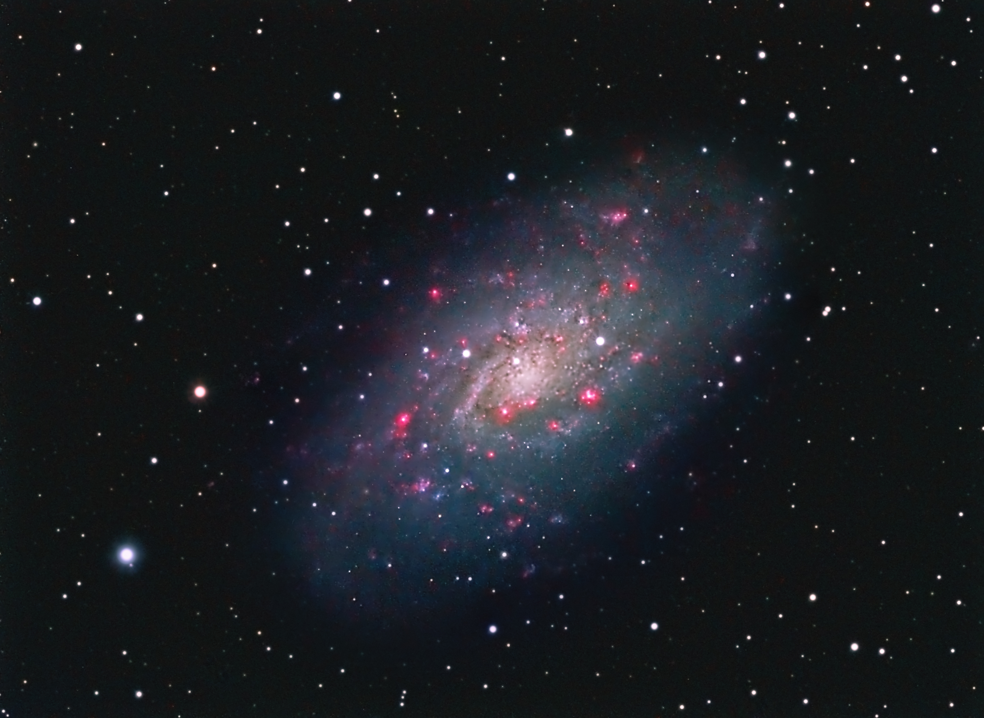 NGC 2403 Spektrum der Wissenschaft