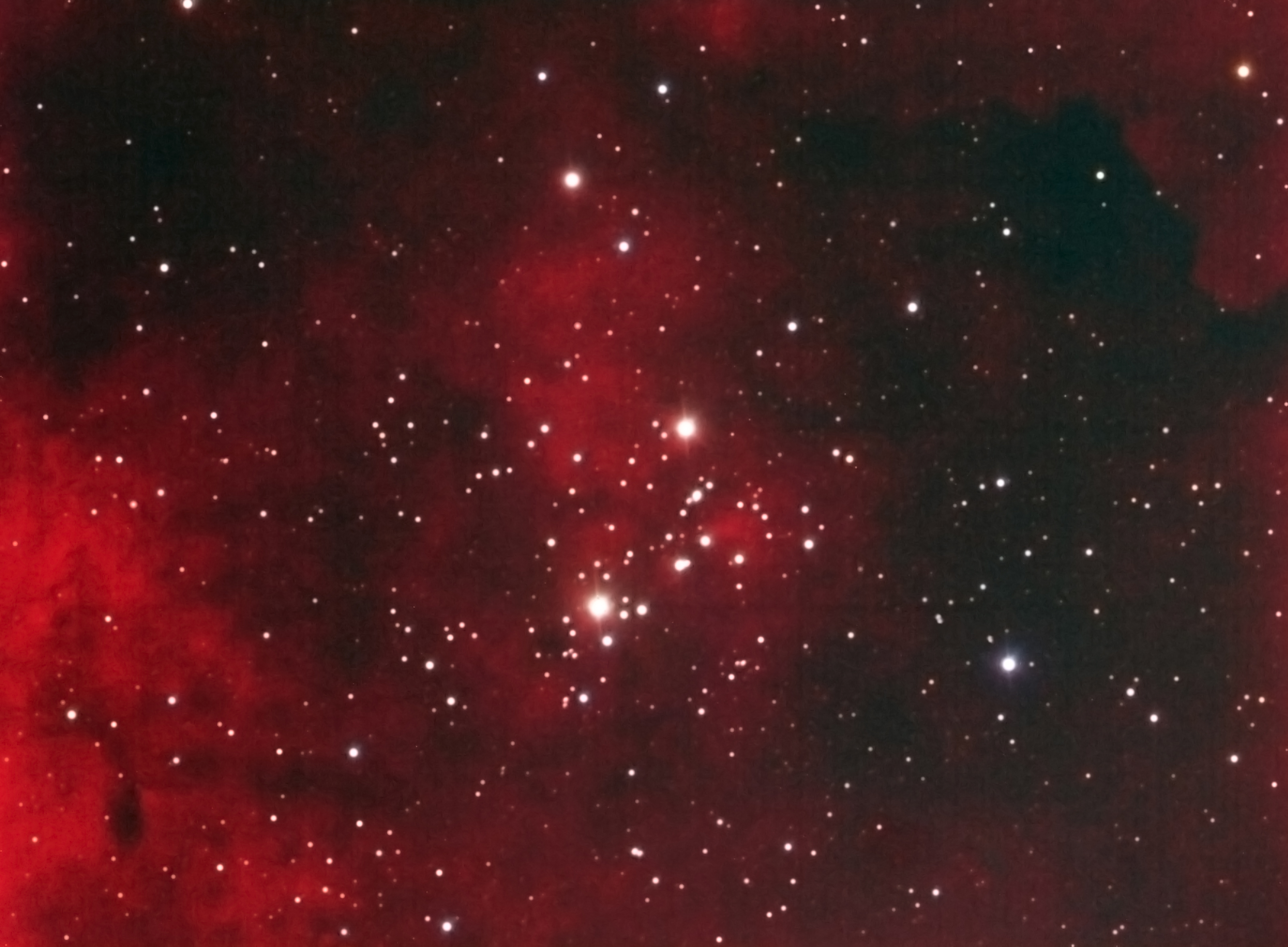 NGC 6910 Spektrum der Wissenschaft