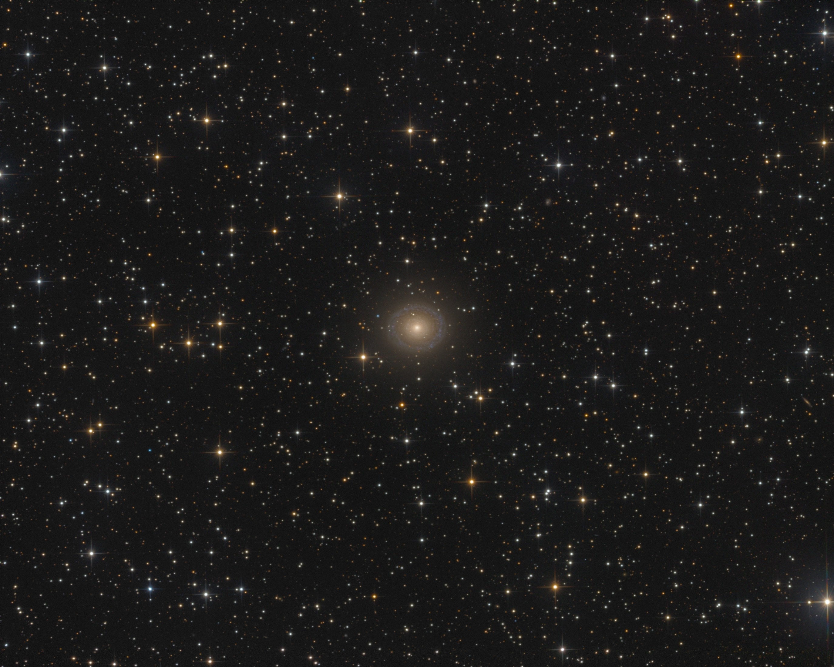 NGC7217 Spektrum der Wissenschaft