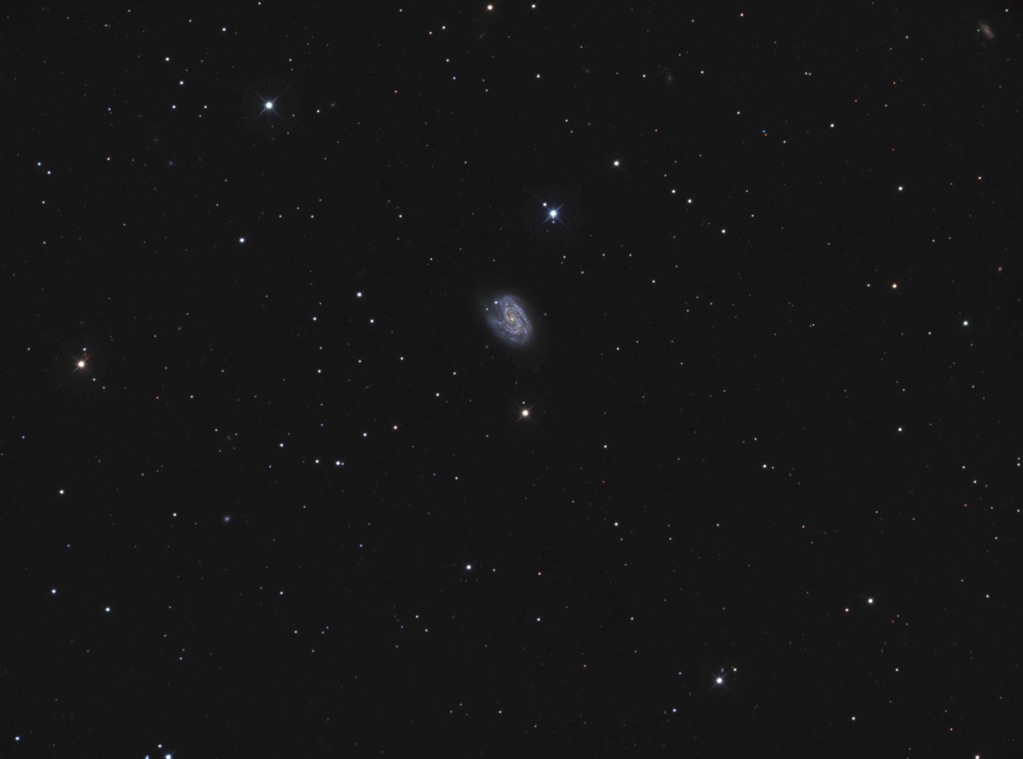 NGC 157 im Walfisch Spektrum der Wissenschaft