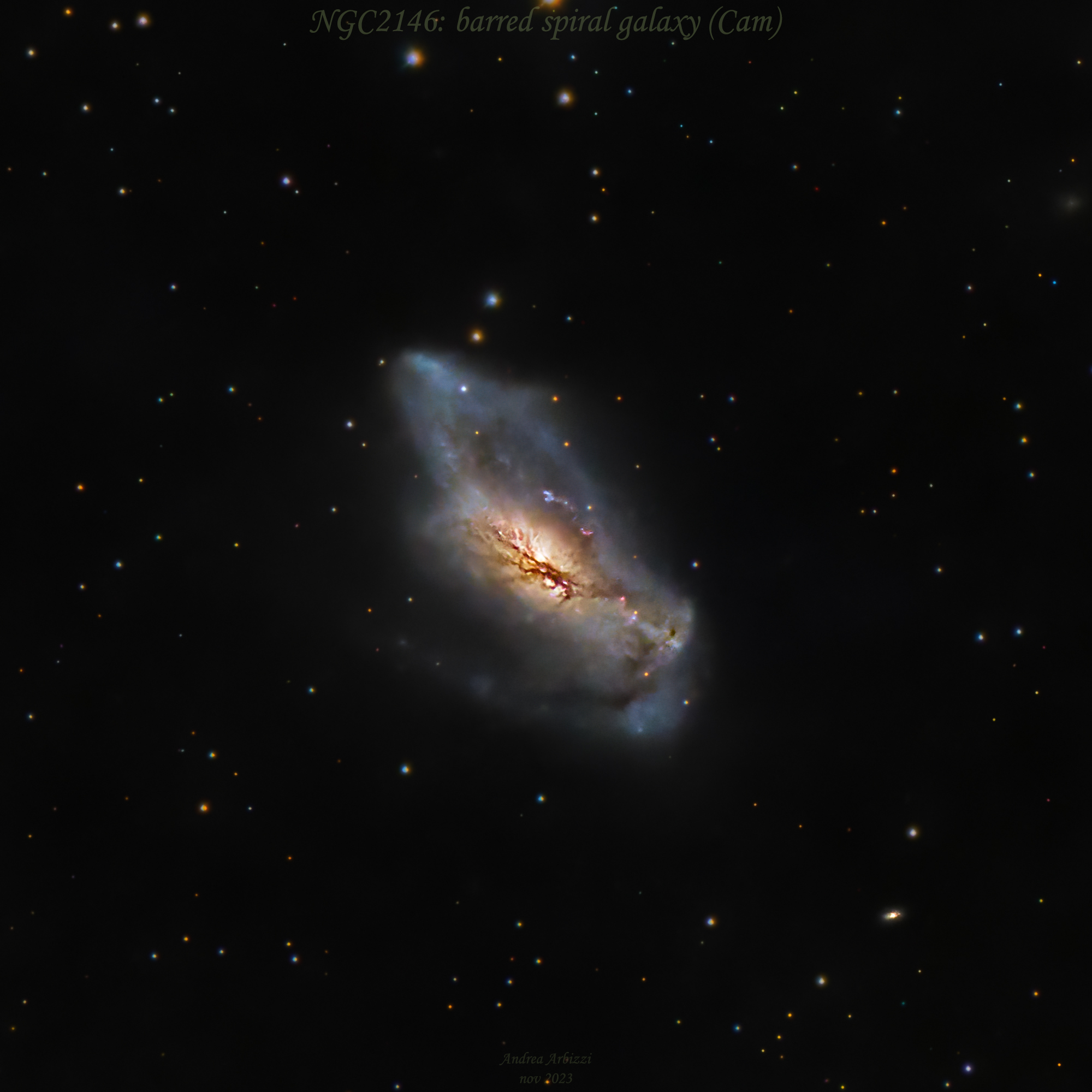 NGC 2146 Spektrum der Wissenschaft