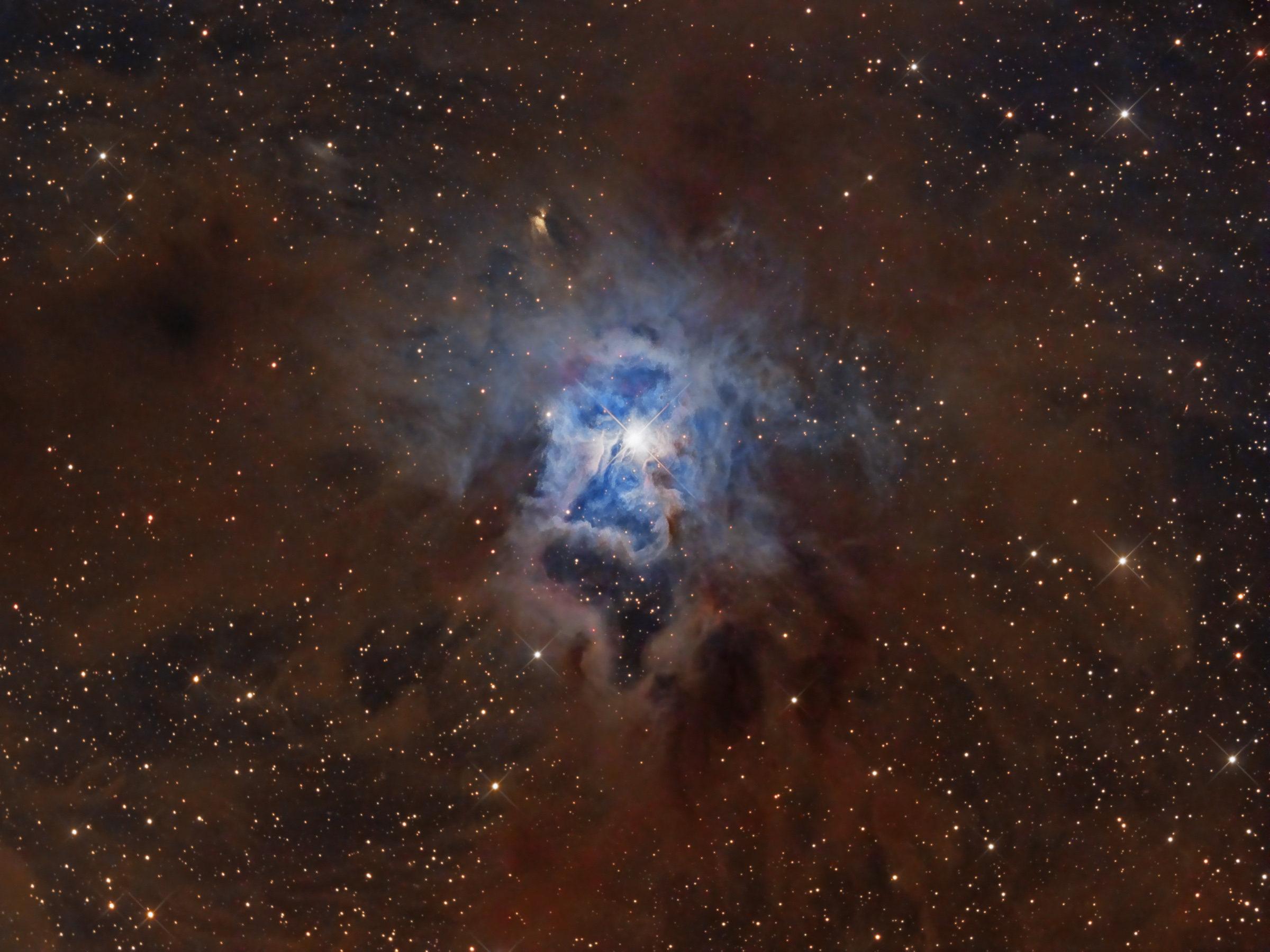 NGC 7023 und der Irisnebel Spektrum der Wissenschaft
