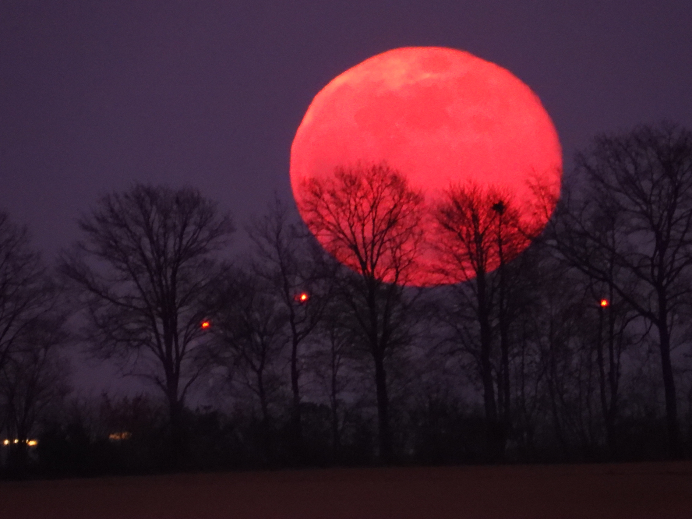 Есть розовая луна. Розовая Луна. Красная Луна. Розовое полнолуние. Розовая Луна 2022.