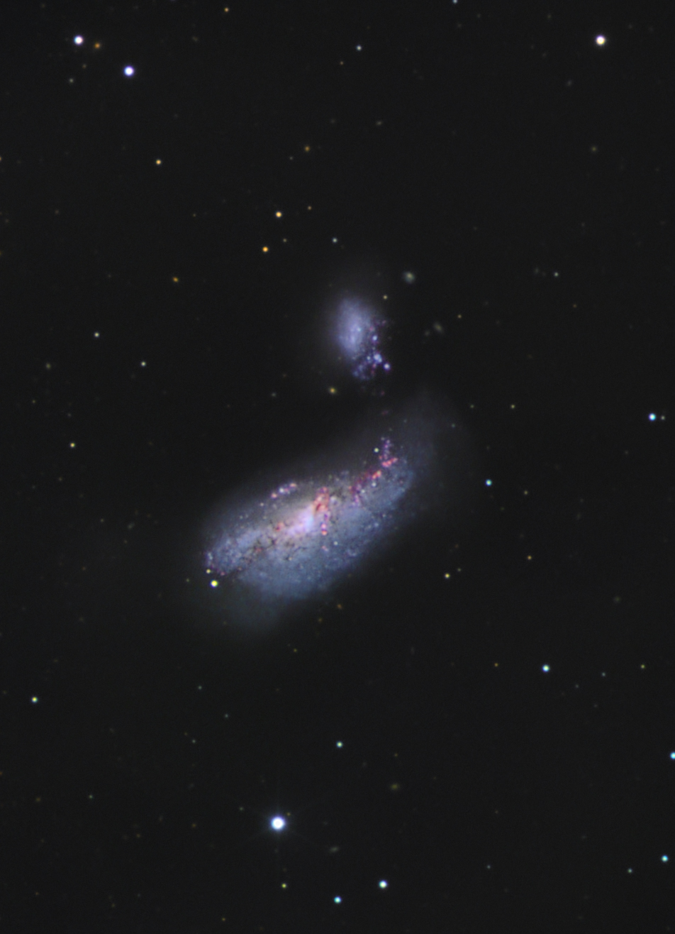 Arp 269 (NGC 4490 und NGC 4485) Spektrum der Wissenschaft