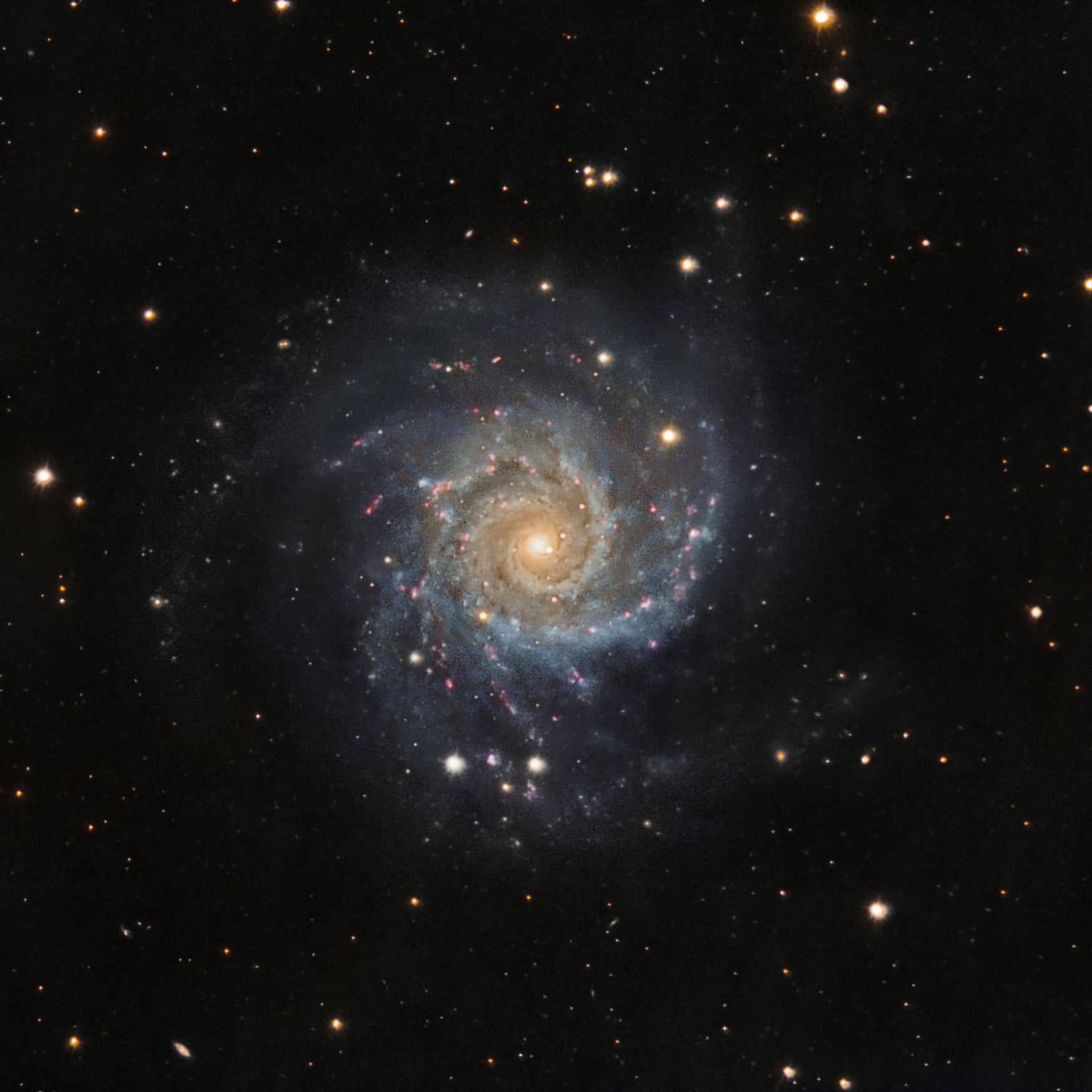 Messier 74 Spektrum der Wissenschaft