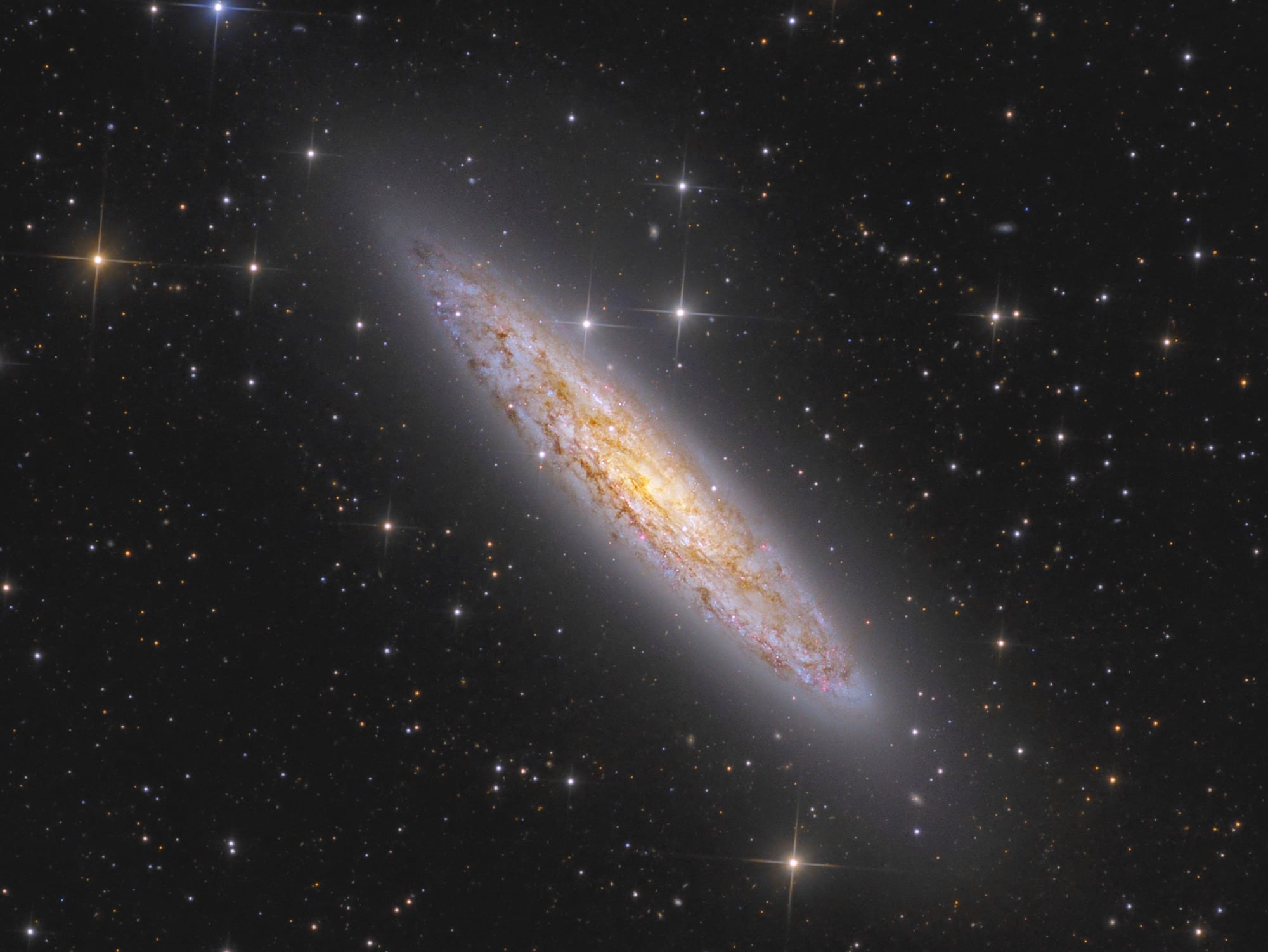 NGC 253 Spektrum der Wissenschaft