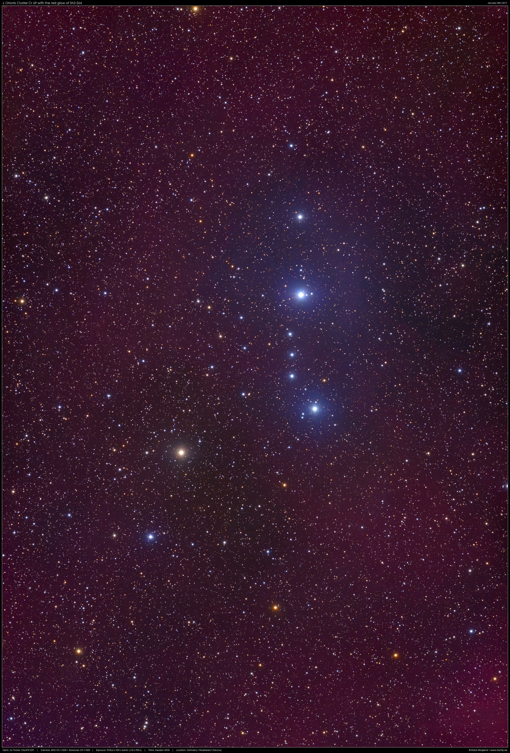 Lambda Orionis Cluster mit Sh2264 Spektrum der Wissenschaft