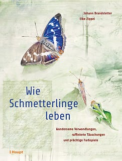 Cover von 'Wie Schmetterlinge leben'