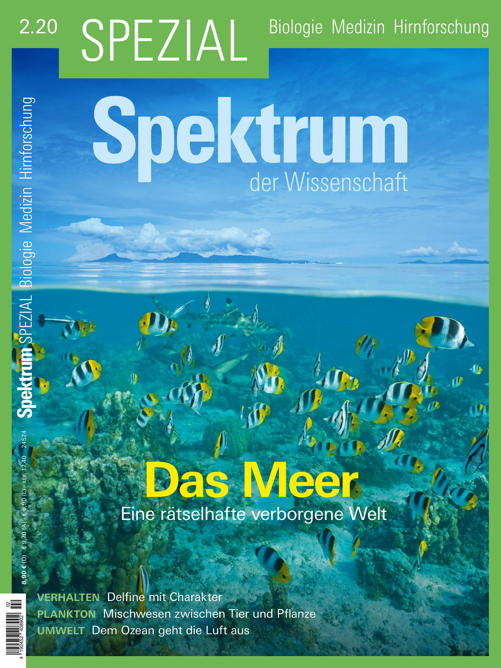 Spektrum Spezial Biologie - Medizin - Hirnforschung 2/2020 Cover