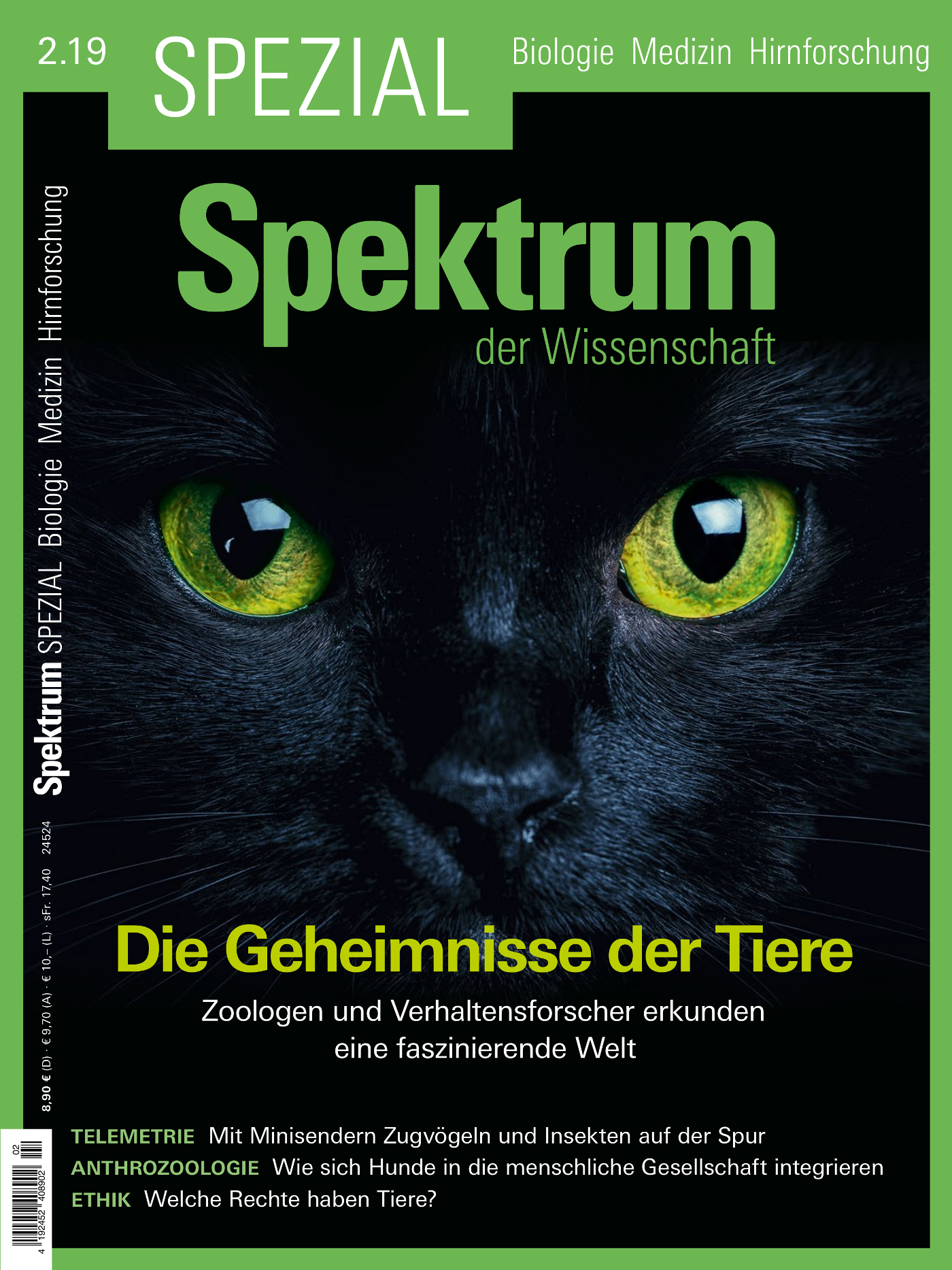 Spektrum Spezial Biologie - Medizin - Hirnforschung 2/2019 Cover