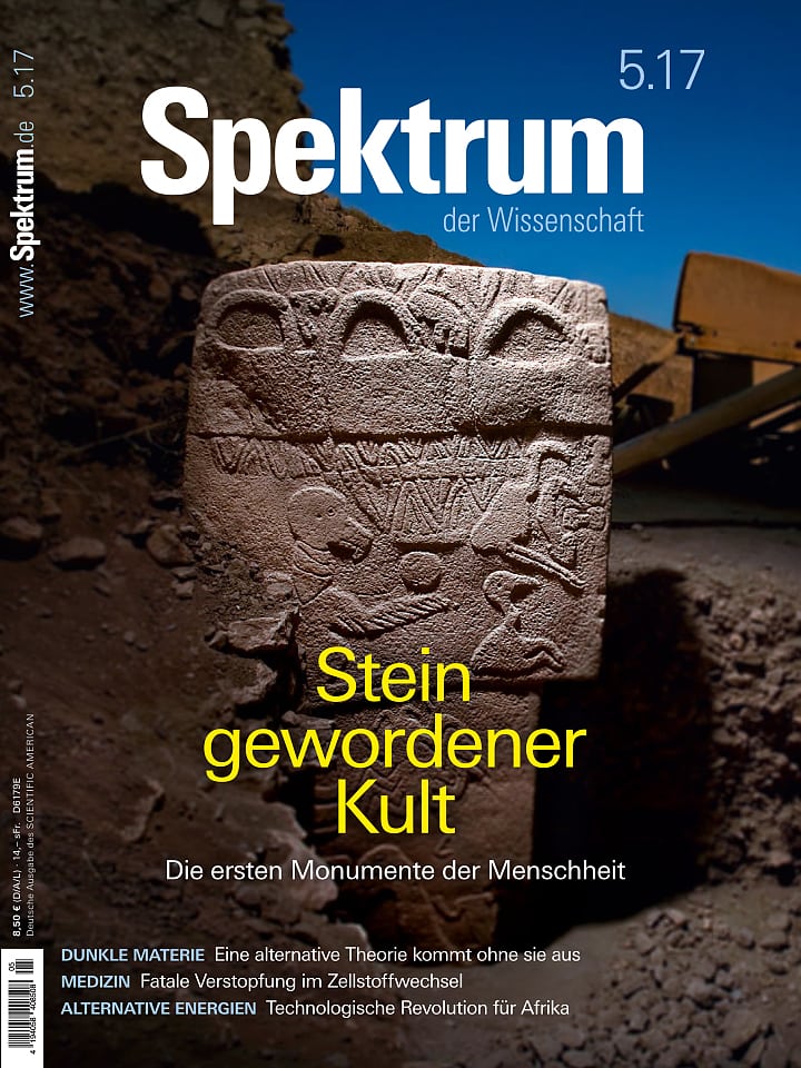 Heftcover Spektrum der Wissenschaft Mai 2017