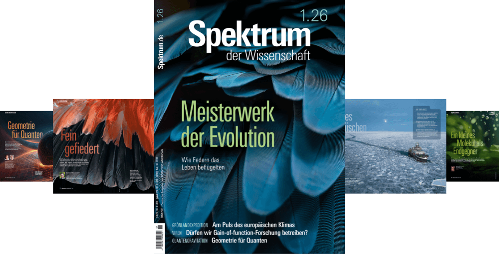 Titelbild der Zeitschrift "Spektrum der Wissenschaft" mit dem Hauptthema "Meisterwerk der Evolution", das die Bedeutung von Federn für das Leben hervorhebt. Das Bild zeigt eine Nahaufnahme von blauen und orangefarbenen Federn. Weitere Themen auf dem Cover sind die Geometrie für Quanten, die Grönlandexpedition und die Diskussion über Gain-of-function-Forschung. Im Hintergrund sind kleinere Abbildungen von Artikeln zu sehen, darunter "Fein gefiedert" und "Ein kleines Molekül als Endgegner".