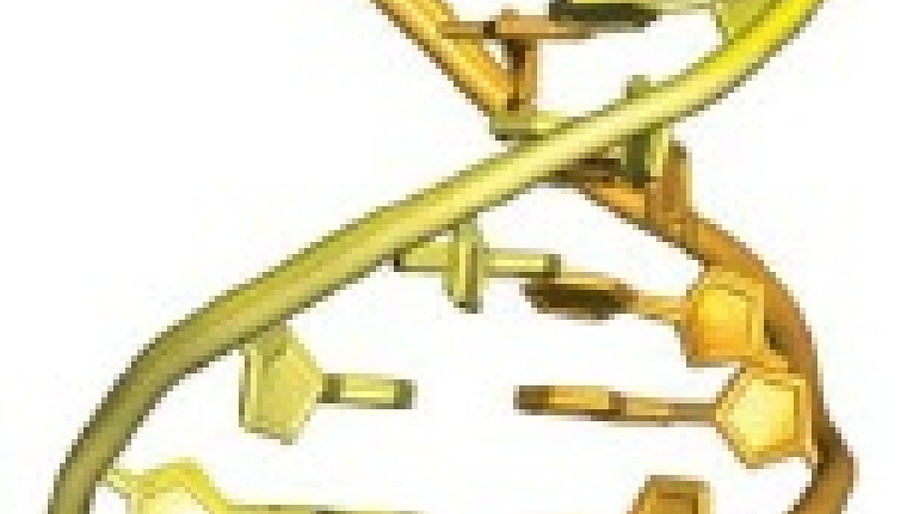 Gentherapie Gezielte Genomkorrektur Gegen Erbkrankheiten Spektrum Der Wissenschaft