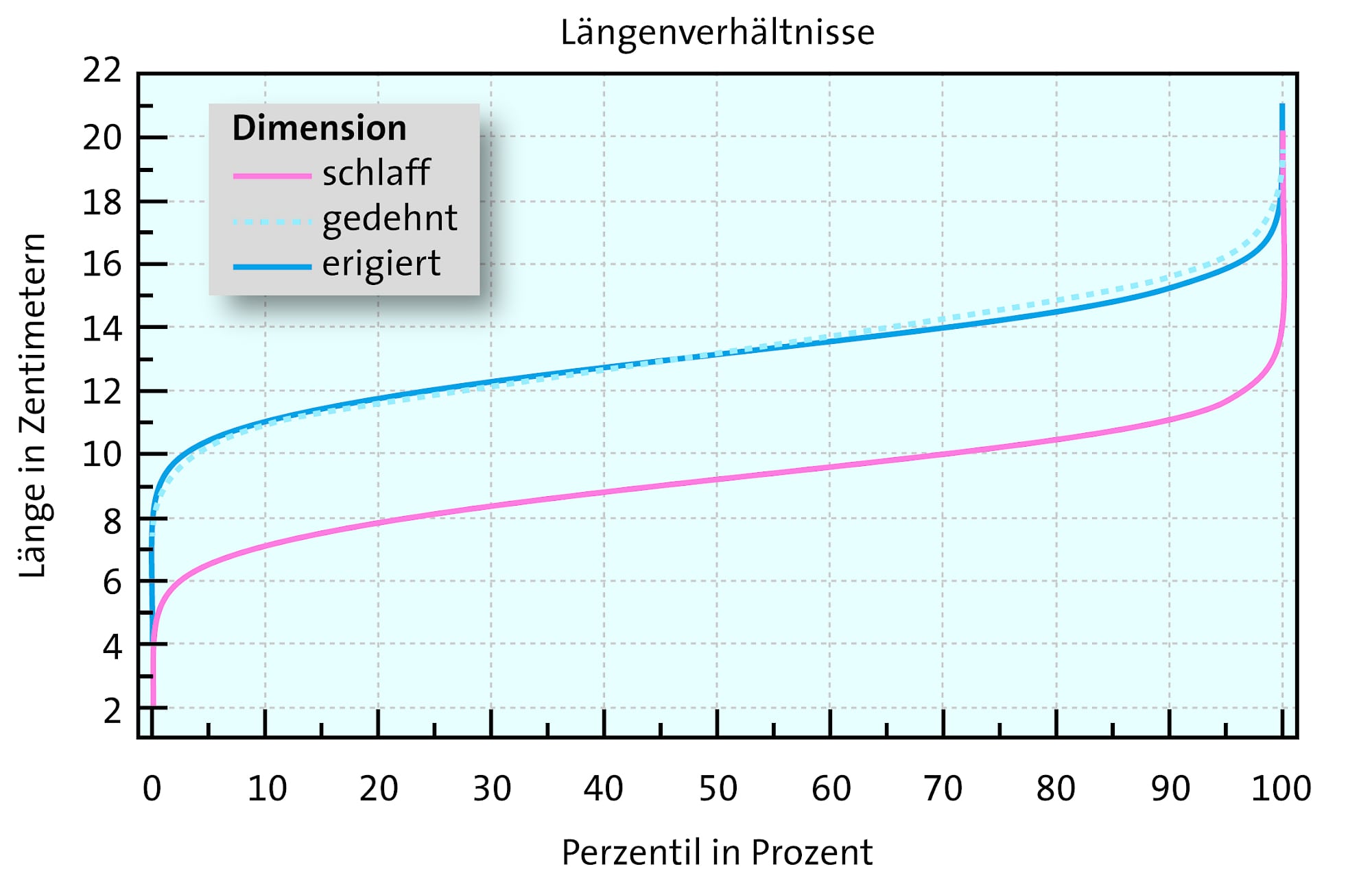 messungen des penis