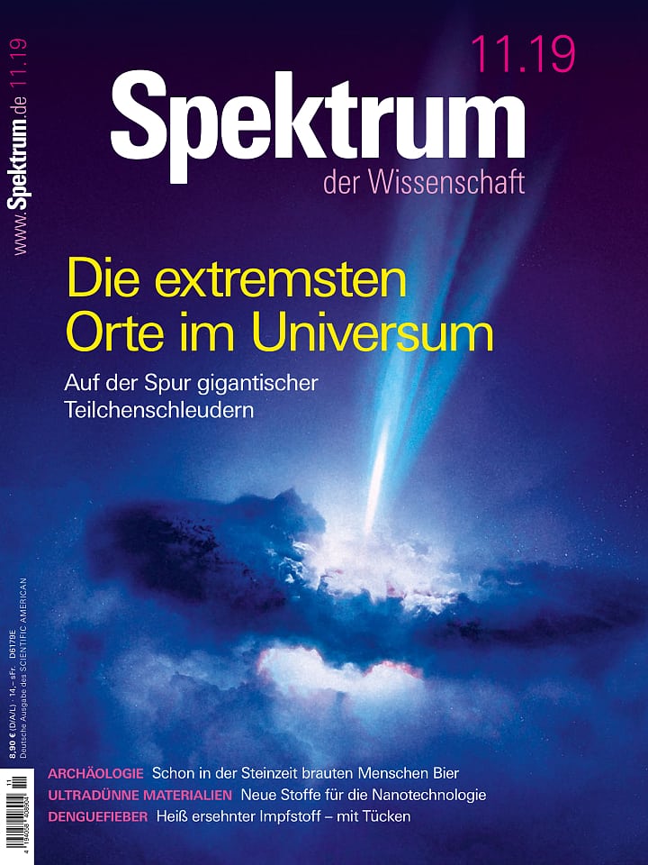 Spektrum der Wissenschaft – November 2019 Cover