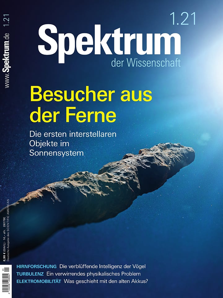 Spektrum der Wissenschaft – 1/2021 Cover