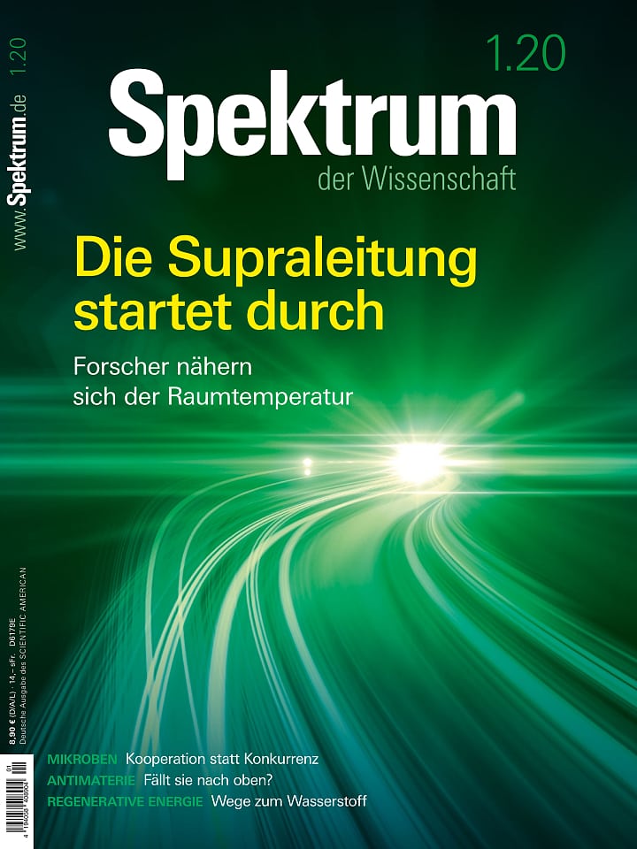 Spektrum der Wissenschaft – Januar 2020 Cover