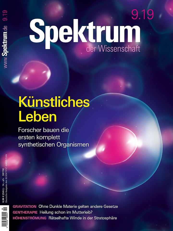 Spektrum der Wissenschaft – September 2019 Cover
