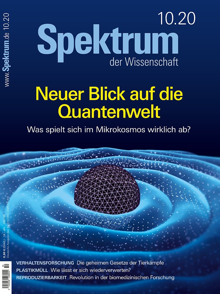 Spektrum der Wissenschaft – Oktober 2020 Cover