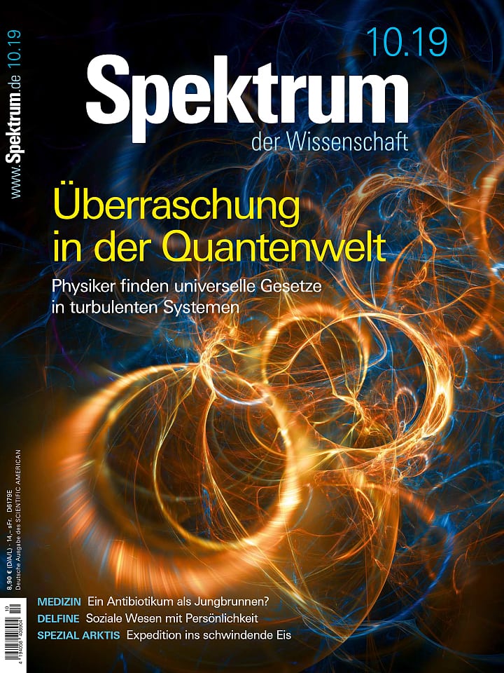 Spektrum der Wissenschaft – Oktober 2019 Cover