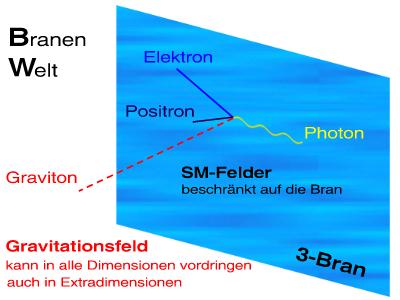 Beschränkung der SM-Felder und Unbeschränkung der Gravitationsfelder