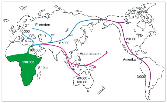 Auswanderung des Homo sapiens aus Afrika