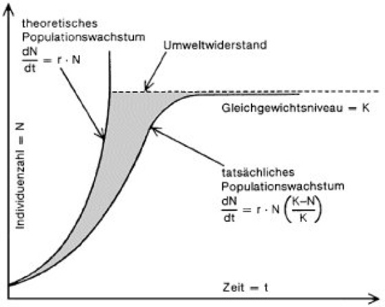 Population définition biologie