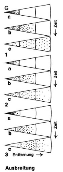 Ausbreitung Lexikon der Biologie