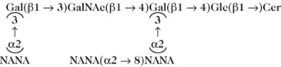 Glycolipide Lexikon der Biochemie