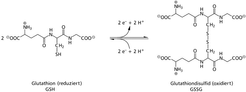 glutathion wirkung Glutathion