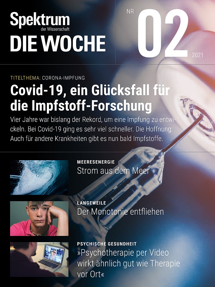 Spektrum - Die Woche – 02/2021 Cover