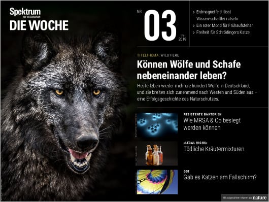 Spektrum Die Woche 3/2019 Cover