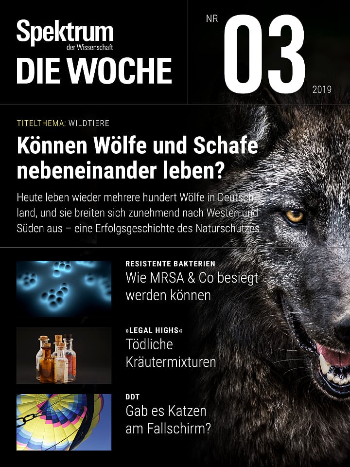 Spektrum - Die Woche – 03/2019 Cover