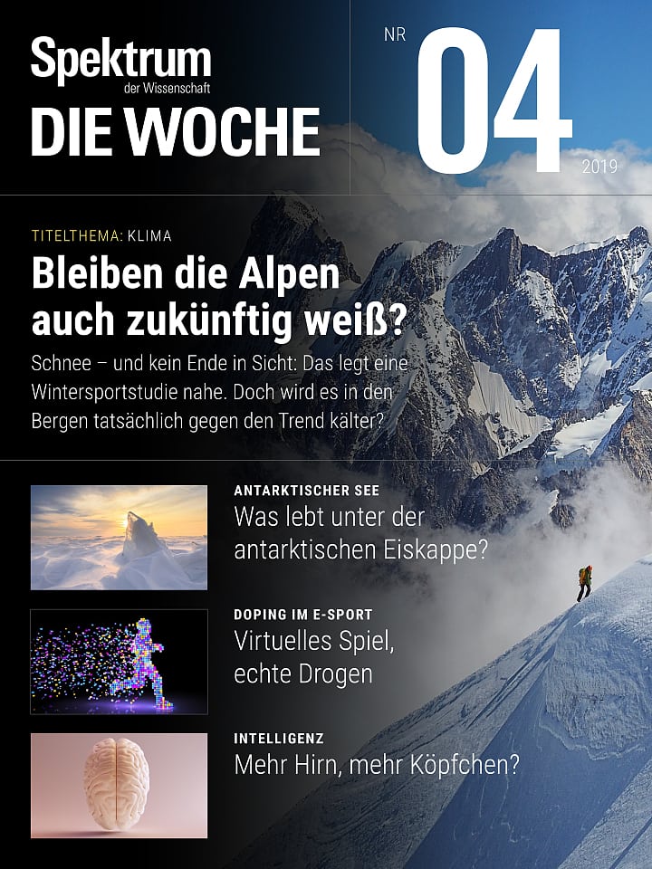 Spektrum - Die Woche – 04/2019 Cover