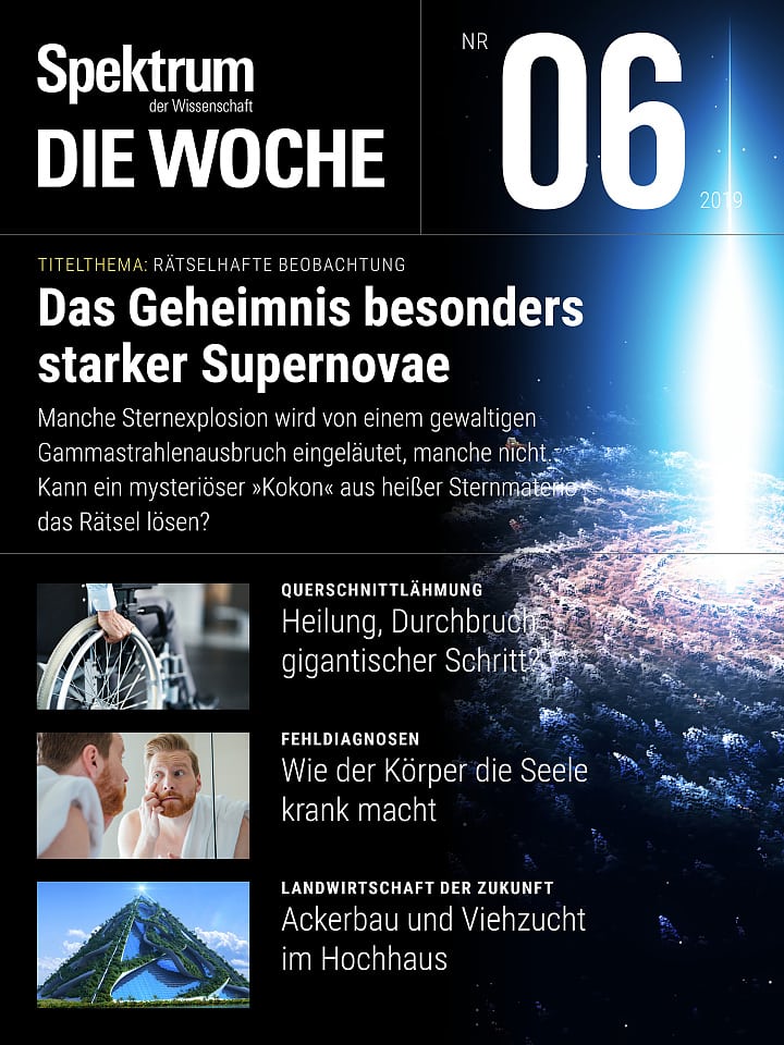 Spektrum - Die Woche – 06/2019 Cover